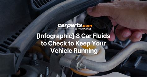 [infographic] 8 Car Fluids To Check To Keep Your Vehicle Running In