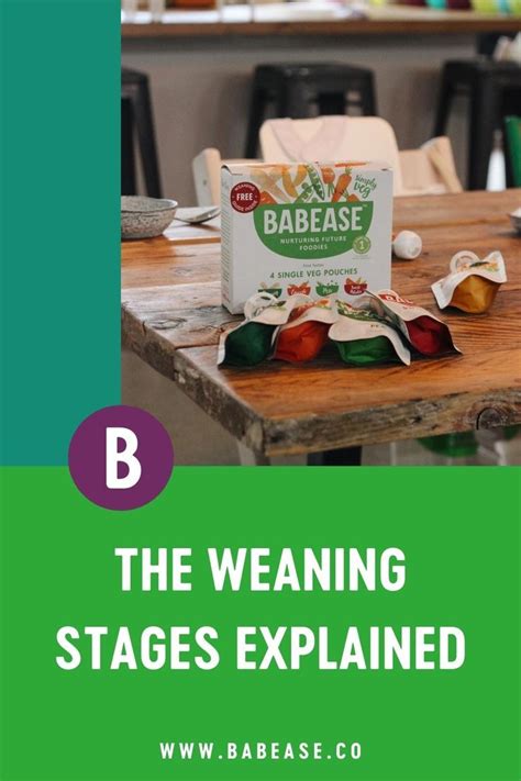 The Weaning Stages Explained at Babease Weaning Guide, Baby Led Weaning ...