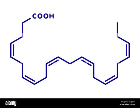 Docosahexaenoic Acid DHA Cervonic Acid Molecule Polyunsaturated