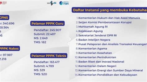 BKN Informasikan Daftar Instansi Dengan Jumlah Pelamar CPNS Terbanyak