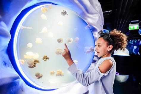 Londra Biglietto D Ingresso Per Il SEA LIFE London Aquarium GetYourGuide