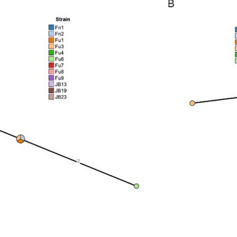 Minimum Spanning Tree Mst Results Of Ad Hoc Wgmlst Analysis Of The