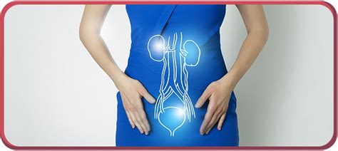 Urinary System Incontinence Treatment Triggers Types And Signs And