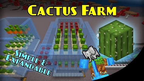 Cactus Farm Easy Expandable Explained Minecraft Bedrock Farm Tutorial