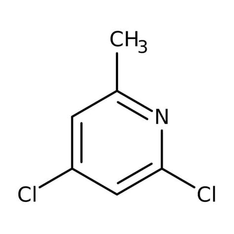 24 Dichloro 6 Methylpyridine 97 Thermo Scientific Chemicals