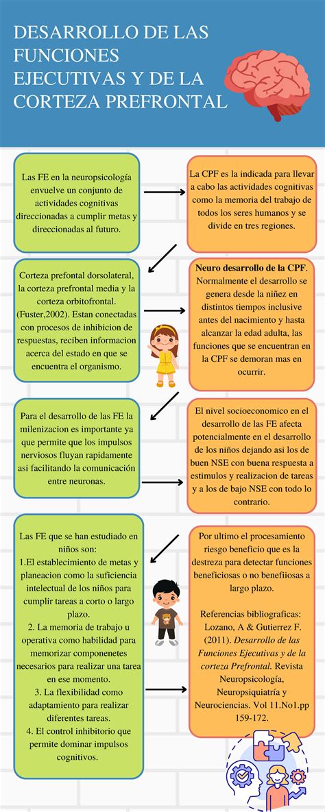 Funciones Ejecutivas Infografia Neuro Psicologia Corteza Prefontal