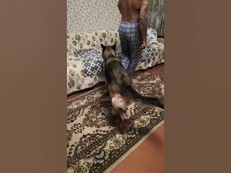 Ролик без прикрас, как оно есть😂 - YouTube