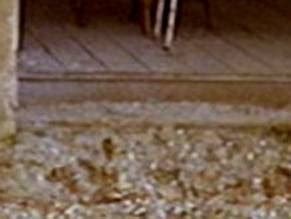 GAIL GRAINGER Nude AZNude