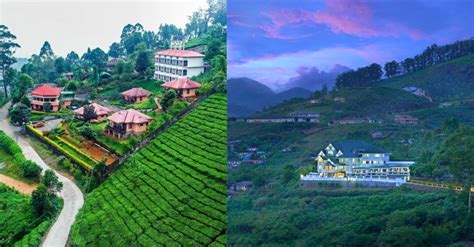 20 Luxurious Resorts in Munnar You Simply Cannot Miss