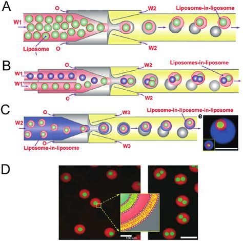 Microfluidic Construction Of Vesosomes Using Double Emulsions A