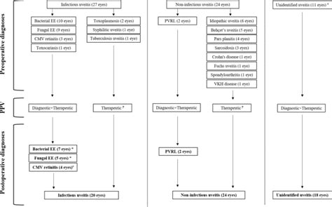 Outcomes Of Pars Plana Vitrectomy In The Management And Diagnosis Of