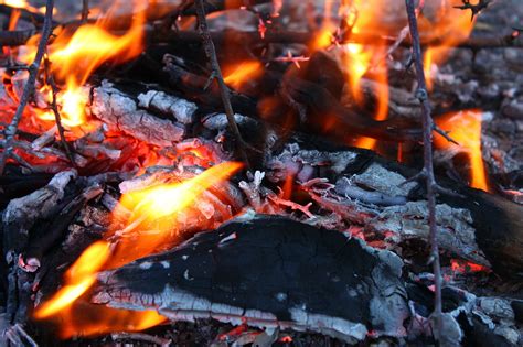 5 Steps to Effective Burning - Rajiv Kapur