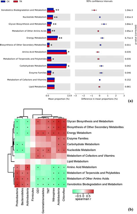 Potential Metabolic Functions Of Tested Samples In Kegg Pathways