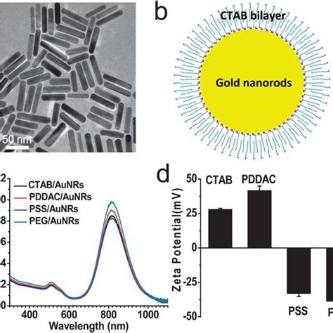 Pdf Surface Chemistry Of Gold Nanorods Origin Of Cell Membrane Damage And Cytotoxicity