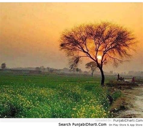 pind di shaam | PunjabiDharti.Com