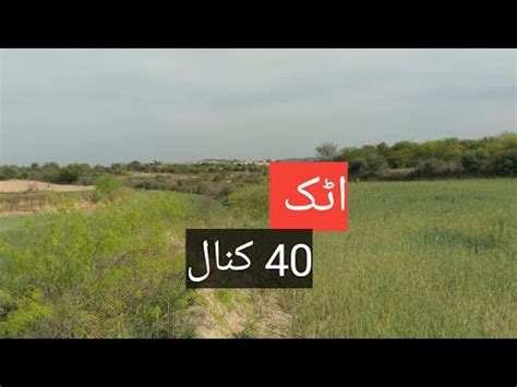 Agriculturel Land For Sale In Punjab Farm House Land For Sale Zri