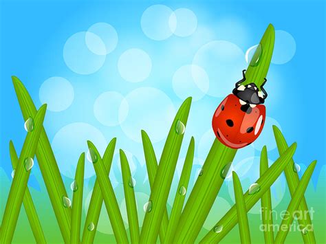 Ladybug On Wet Grass Digital Art By Sylvie Bouchard Fine Art America