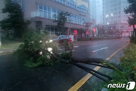 태풍 힌남노 410㎜ 물폭탄에 포항 칠성천 일대 침수 등 전국 피해 속출종합 네이트 뉴스