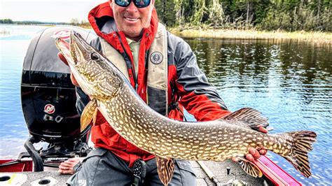 Fishing Lures For Pike Wilderness North