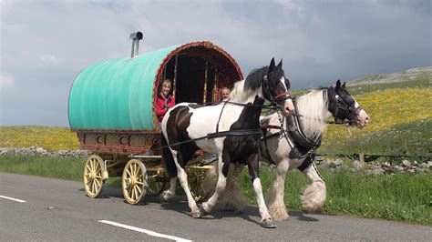 Gypsy Cobs A Type Of Horse Growing In Popularity Horse And Hound