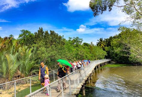 Adventures With The Naked Hermit Crabs