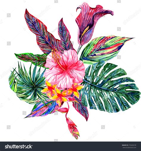 Watercolor Tropical Flowers Jungle Palm Leaves Stock Illustration 273636578