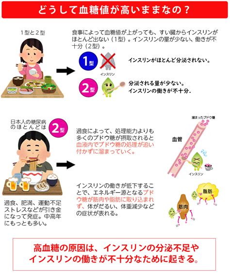 【糖尿病とは】糖尿病外来専門 山王内科クリニック