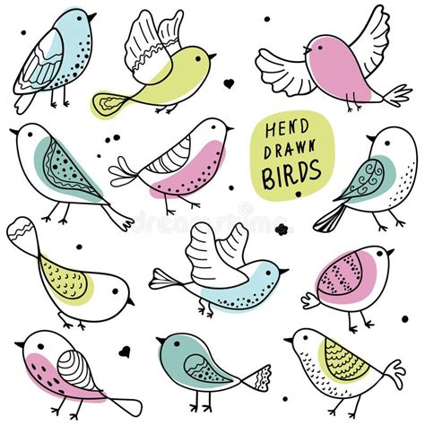 Birds Collection Colorful Hand Drawn Bird Doodle Black Line On A