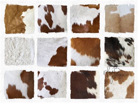 Cowhide Texture Pngs Cowhide Sublimation Textures Cowhide Background