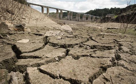 FT сообщила о «водном кризисе» в Европе из-за засухи и плохой политики ...