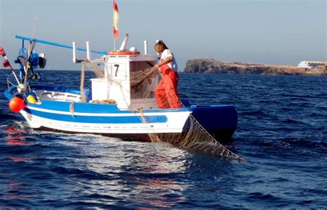 21 De Noviembre Día Mundial De La Pesca Pleamar