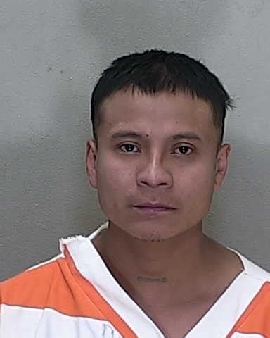 Nearly 20 new Marion... - Marion Mugshots - Ocala Arrests | Facebook