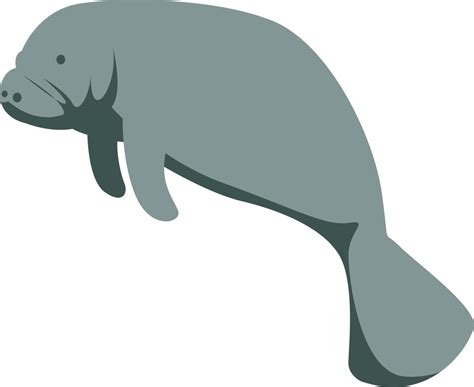 Manatee animal, illustration, vector on white background. 13683792 ...