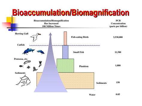 PPT - Polychlorinated Biphenyls (PCBs) Toxic Substance Control Act PowerPoint Presentation - ID ...