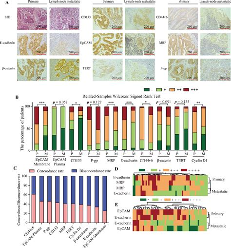 Figure 1 From Comparative Profiling Between Primary Colorectal Carcinomas And Metastases