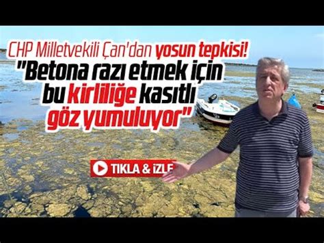 Samsun da Kurupelit Yat Limanı yosunla kaplandı Milletvekili Çan dan