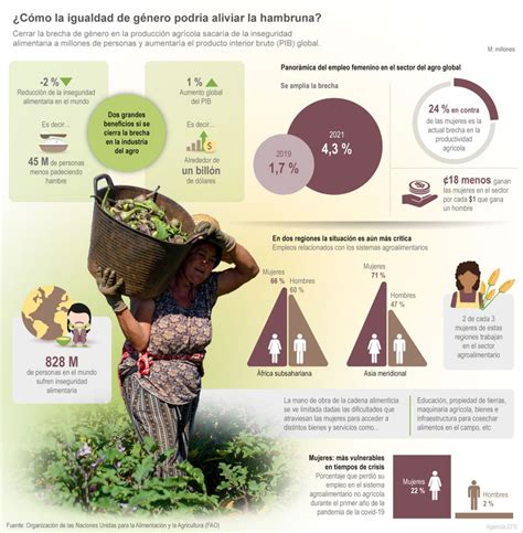 Infografía Fao La Brecha De Género En La Inseguridad Alimentaria Aumenta En América Latina