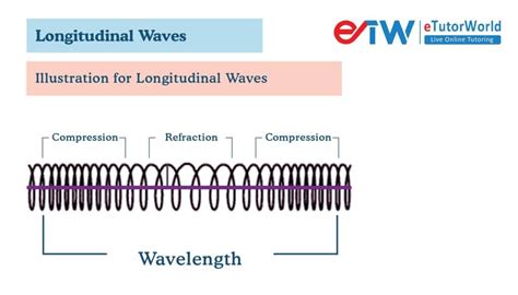 What are Longitudinal Waves, Formula, Example & FAQs