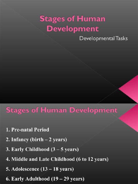 Stages of Human Development | PDF