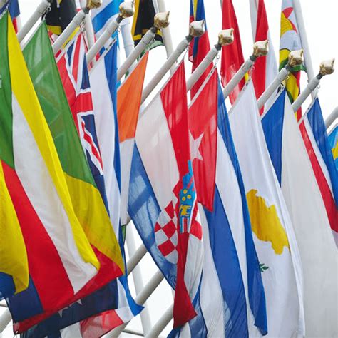 United Nations Outdoor Nylon Flag Set 4'x6' - FlagCo.com