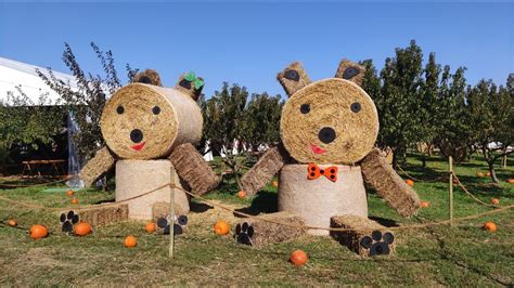 Villaggio Delle Zucche Di Nonno Andrea Youtube