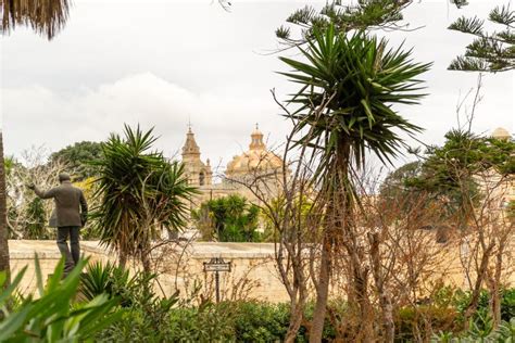 Las Plantas Interesantes Encontraron En Malta Una Isla En El Mediterr