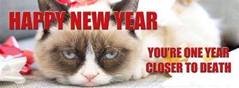 Grumpy Cat Happy New Year Facebook Cover Made By Me Grumpycat