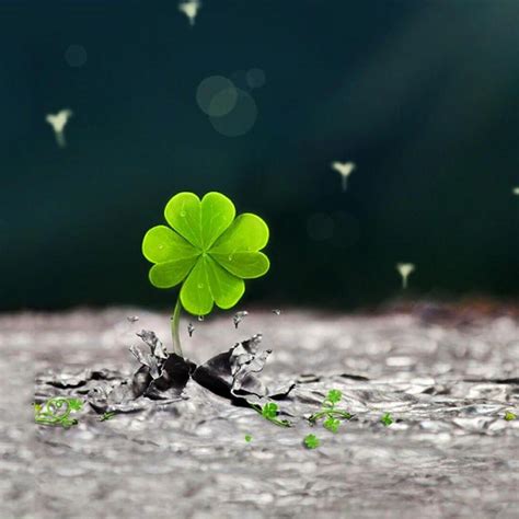 Lucky Wallpapers - Top Free Lucky Backgrounds - WallpaperAccess