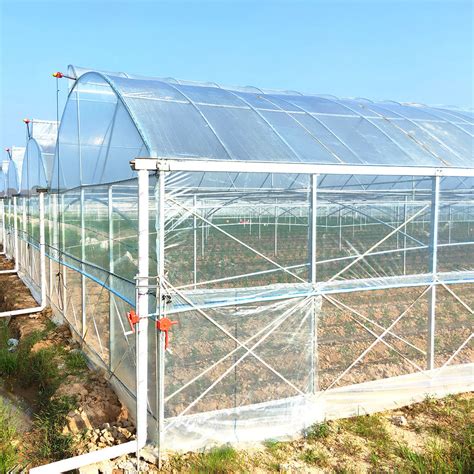 Multi Span Commercial Tunnel Plastic Glass Polycarbonate Garden Farm