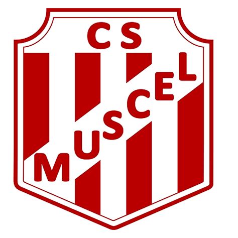 C S MUSCEL SF Federatia Romana De Volei