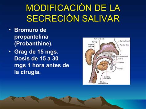 Farmacologìa del aparato digestivo PPT