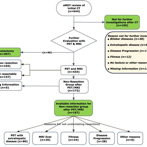 Referral Pathways Flowchart Hot Sex Picture