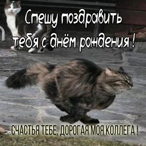 Открытки с днем рождения КОЛЛЕГЕ по работе с юмором и пожеланиями