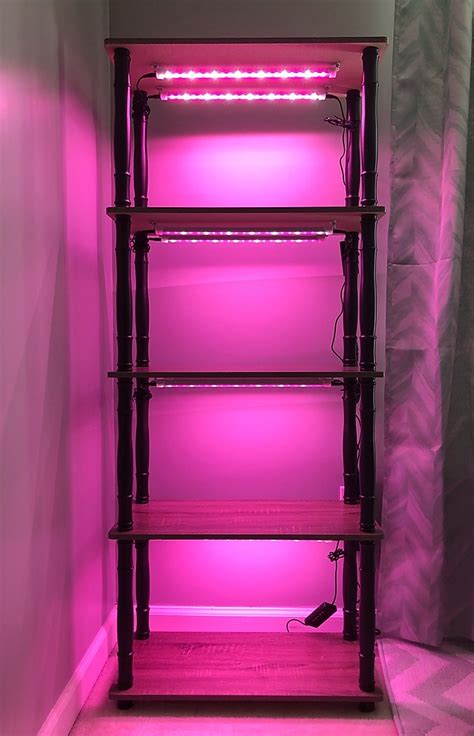 Pin By Kelly Marie On Plant Girl Grow Lights For Plants Growing Plants Indoors Grow Light Stand